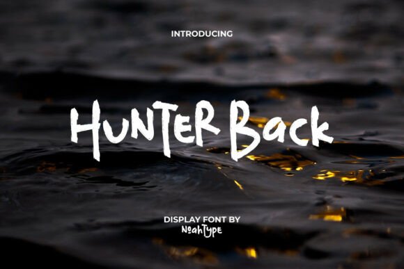 Hunter Back Font: A Playful and Textured Brush Display Typeface for Creative Designs